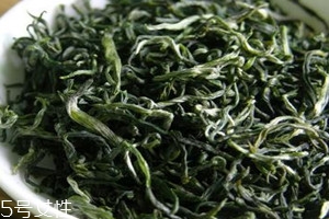 毛尖怎么泡才正确,毛尖的冲泡方法