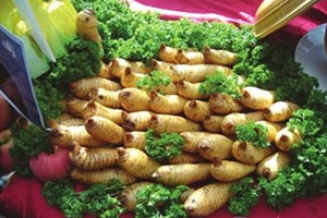 乌天麻价格多少钱一斤,乌杆天麻的价格