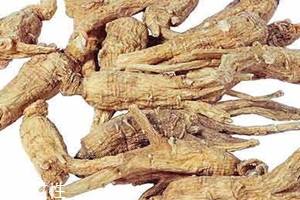 三七能和天麻一起吃吗,天麻能一起吃吗