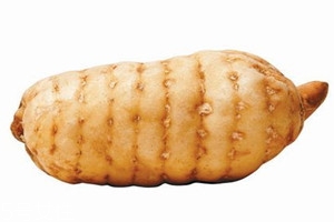 天麻为什么要姜制过,姜制天麻和天麻区别