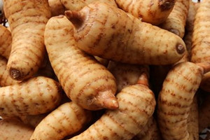 天麻怎么吃效果最好,鲜天麻怎么吃效果最好