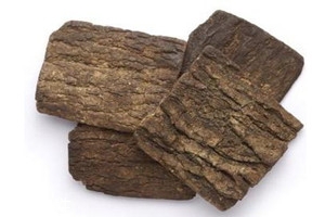 杜仲一天的用量是多少,杜仲一天的用量50克