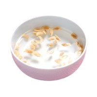 柚子绿植盆栽,柚子籽盆栽 柚子绿植盆栽,柚子籽盆栽