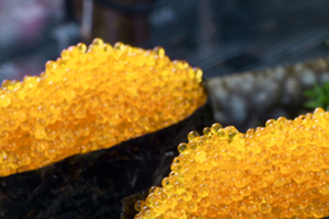 蟹籽是什么螃蟹身上的,寿司店的蟹籽是什么