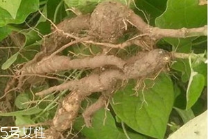 温馨提醒标识牌,温馨提示标识标牌大全