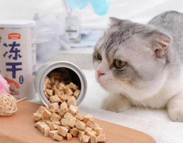 猫为什么不吃粮(猫为什么不吃粮食)