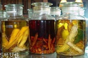 白芷泡酒可以喝吗,白芷可以泡酒吗 泡酒配方