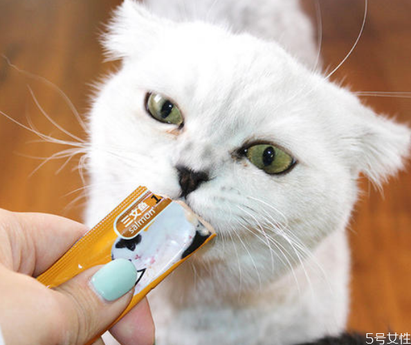 自制猫饼干猫零食(自制猫用小饼干) 自制猫饼干猫零食(自制猫用小饼干)