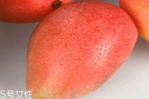 贵妃芒什么时候成熟季节,贵妃芒什么时候成熟?