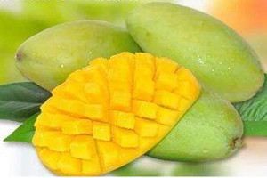 玉芒多少钱一斤2020,玉芒多少钱一斤2021