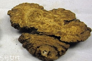 川芎是热性还是凉性的,川芎是热性还是凉性一