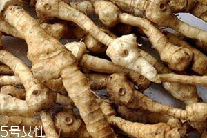 黄精种子什么时候采摘,黄精多长时间可以采收