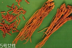 龙胆草可以泡水喝吗,龙胆草能泡水喝吗