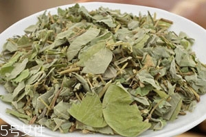 金钱草多少钱一斤市场价,金钱草多少钱一斤现在