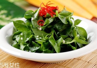 穿心莲苦吗,穿心莲苦不苦 穿心莲苦吗,穿心莲苦不苦