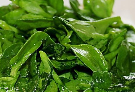 穿心莲的功效和作用的功能和主治,穿心莲的功效和作用及副作用