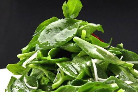 田七的作用,田七的营养价值