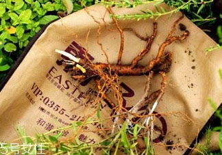 丹参什么时候挖最好,丹参什么时候挖才好