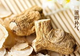 丹参和西洋参能一起泡水喝吗?,丹参和西洋参可以一起泡水喝吗