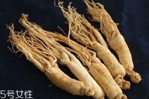 园参的价格是多少,园参多少钱