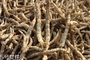 草参种子多少钱一斤,草参市场价多少钱一斤