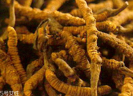 人参价格查询,各种人参的价格