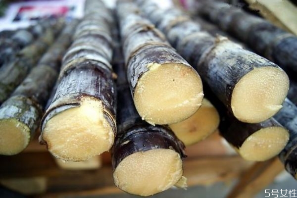 吃甘蔗会上火吗?,女人吃甘蔗会上火吗 吃甘蔗会上火吗?,女人吃甘蔗会上火吗