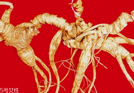 野山参长虫怎么办?,党参长虫子还能吃吗 野山参长虫怎么办?,党参长虫子还能吃吗