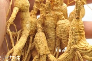 林下参怎么吃效果最好,林下参怎么吃最好