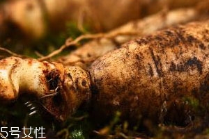 林下参可以泡酒吗,林下参能泡酒吗