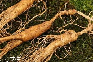 林下参多少钱一斤,林下参价格