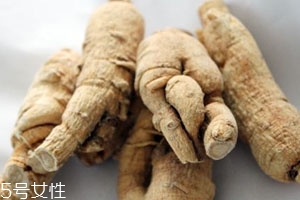 白参是凉性还是热性的,白参寒性还是热性