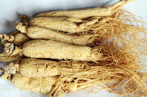 人参属性是什么,人参的属性和功效