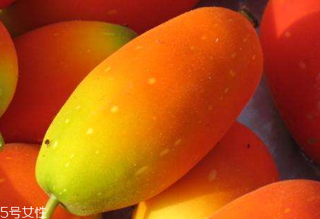 红香果种植条件,红香果图片及种植技术