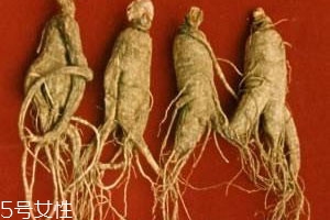 红参和黄芪能一起吃吗能长喝吗,红参和黄芪能一起吃吗?