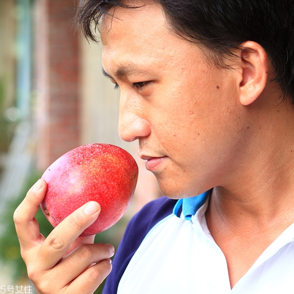 挑选芒果的技巧,芒果的挑选方法