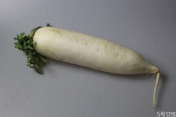 白萝卜发芽还能吃吗,胡萝卜发白芽还能吃吗