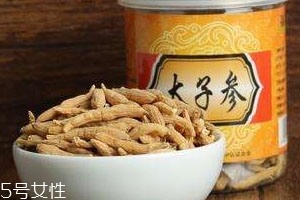太子参能泡水喝吗?,太子参能泡水喝吗?作用和功效