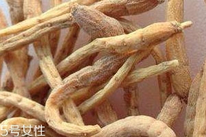 太子参可以泡酒吗泡酒方法,人参泡酒有用吗