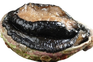 鲍鱼罐头什么牌子好,鲍鱼罐头怎么样