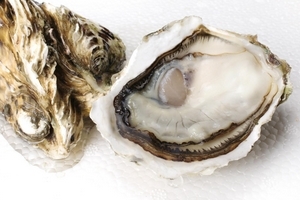 生蚝好消化吗,吃生蚝容易消化吗