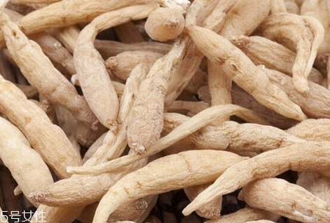 太子参常用剂量,太子参的剂量和功效妙用