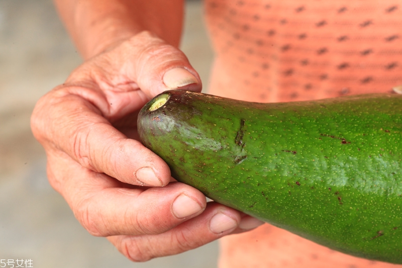 牛油果保鲜方法,牛油果的保鲜和储藏方法