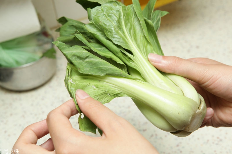 青菜类怎么保存,青菜怎样保存 青菜类怎么保存,青菜怎样保存