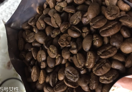 蓝山咖啡怎么泡好喝,蓝山咖啡怎么泡制