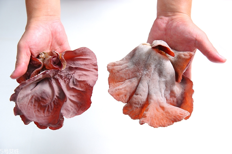 怎样选择黑木耳,什么样的黑木耳好