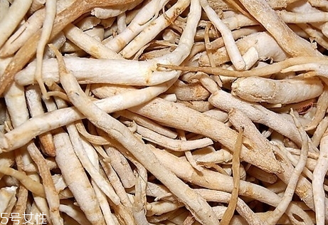 野生沙参什么时候收获,刚挖的沙参怎么处理