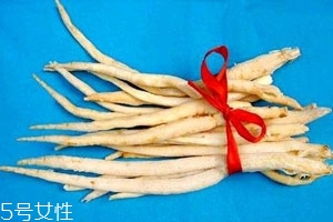 沙参是凉性还是热性的,沙参是凉性还是热性肾阳虚能吃吗