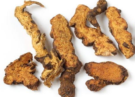 苍术泡水的功效和作用,苍术泡水的功效和作用及禁忌