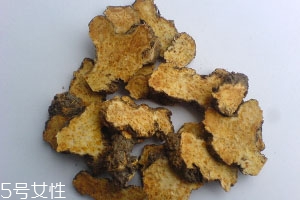 苍术多少钱一斤现在市场价,苍术价格多少钱一斤